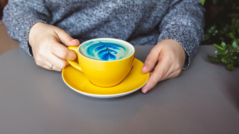 Woman holding yellow hot trendy blue latte with art flower petals on the foam on grey wooden table background.