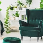 Emerald green comfortable armchair and pouf in contemporary bedroom interior with urban jungle.