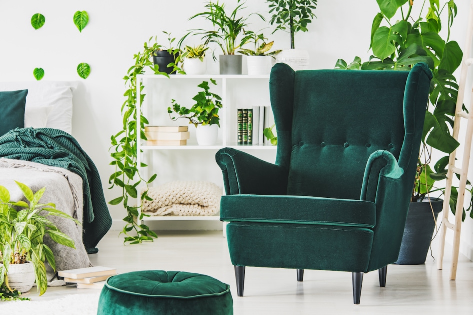 Emerald green comfortable armchair and pouf in contemporary bedroom interior with urban jungle.