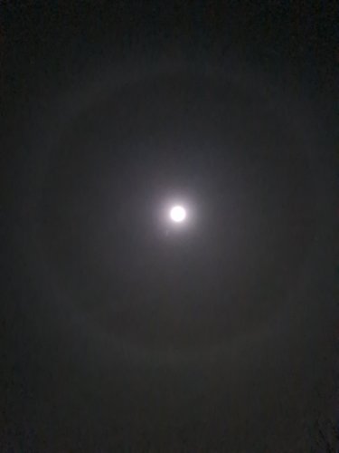 20220313_220749.jpg