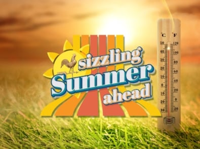 Summer Forecast 2022: Sizzling Summer Ahead featured image
