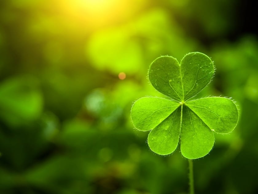 St. Patrick's Day March 17, 2024: History, Celebration Ideas, Pots of Gold,  and more!