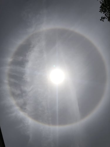 El Paso's Hilarious Comments On What A Sun Halo Means