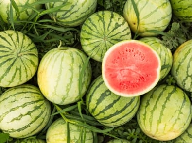 How To Grow Watermelons featured image