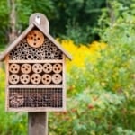 An example of a bee house.