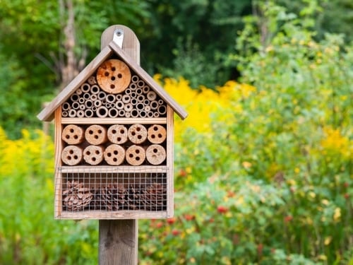 An example of a bee house.