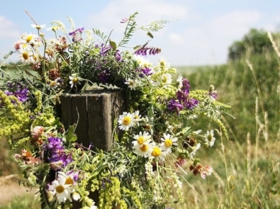 When and What is Midsummer? featured image