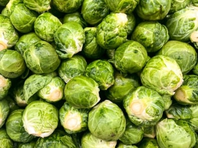How to Grow Brussels sprouts featured image