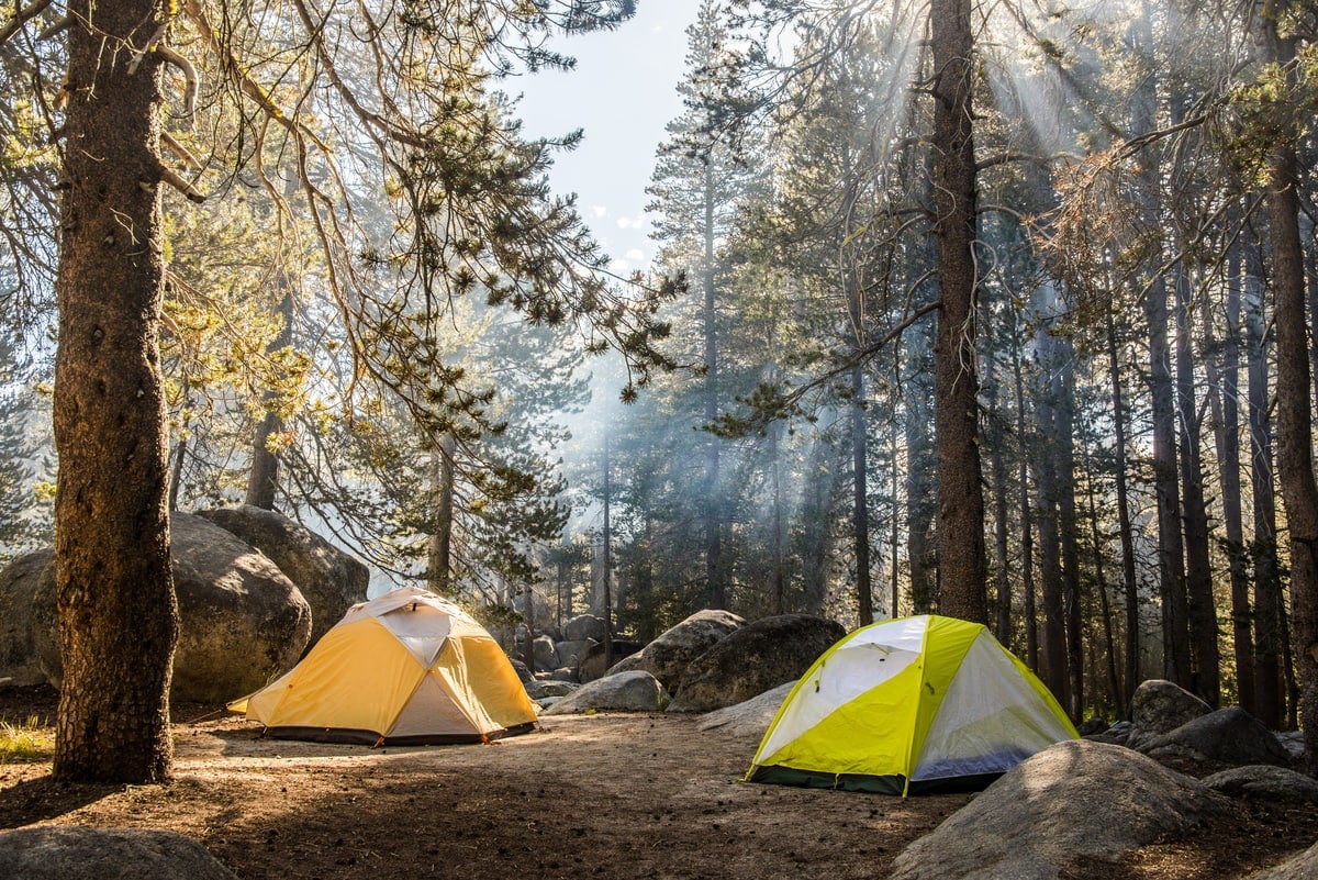 Camping featured image