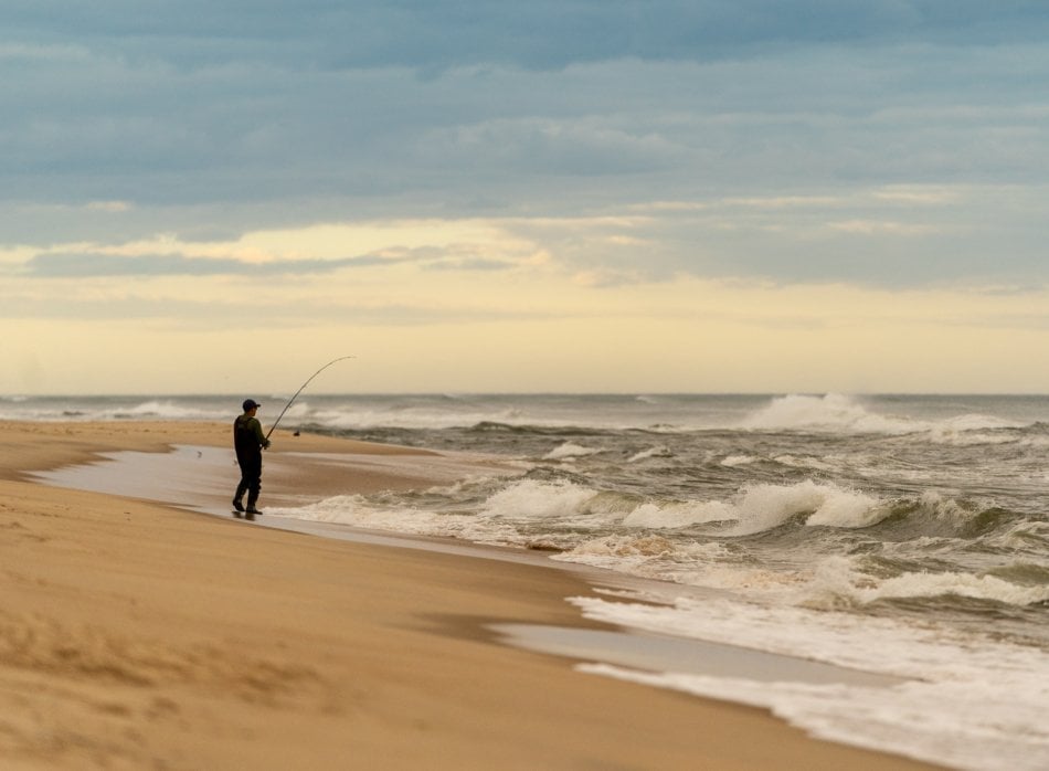 Shore fishing for striped bass.