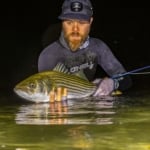 Author Jerry Audet with a striped bass.