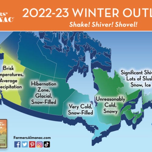 How to Grow Cucumbers Farmers' Almanac