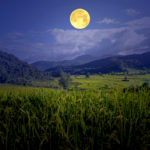 A field below a Moon suggesting giving thanks as one way how to celebrate the Harvest Moon.