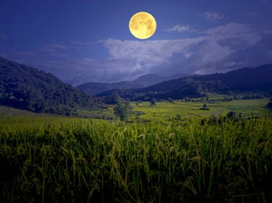 A field below a Moon suggesting giving thanks as one way how to celebrate the Harvest Moon.