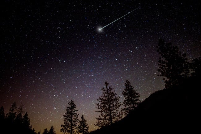 A shooting star in the woods where there is not much light pollution.