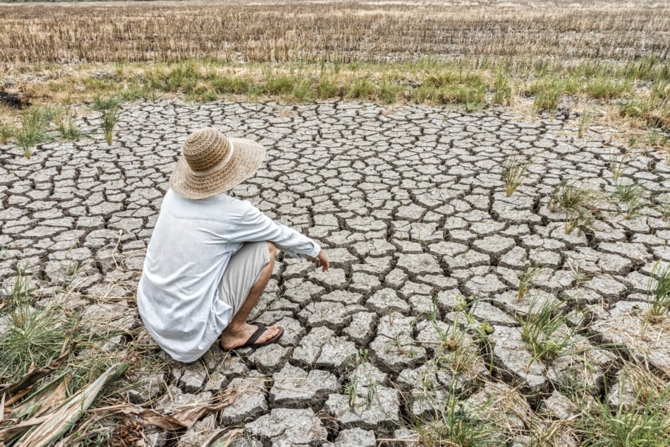 Longterm droughts are an example of climate change.