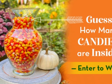 Candy Corn Contest Winner Announced! featured image