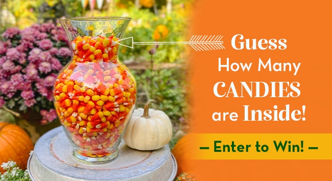 Count the candy corn to win a cash prize.