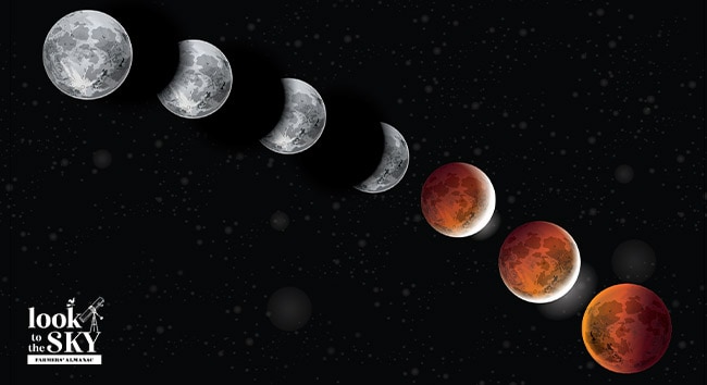 November sky 2022 has a total lunar eclipse and shooting stars!