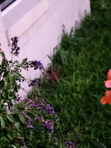 VideoCapture_20221009-004715.jpg