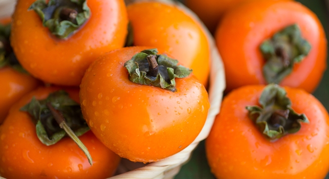 persimmon fruits to represent the persimmon forecast article.