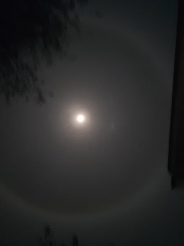 20221111_021632.jpg