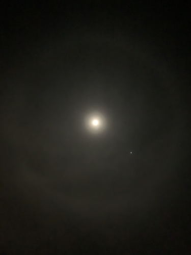5126EB98-15E5-499E-AC67-489312D7DF2F.jpeg