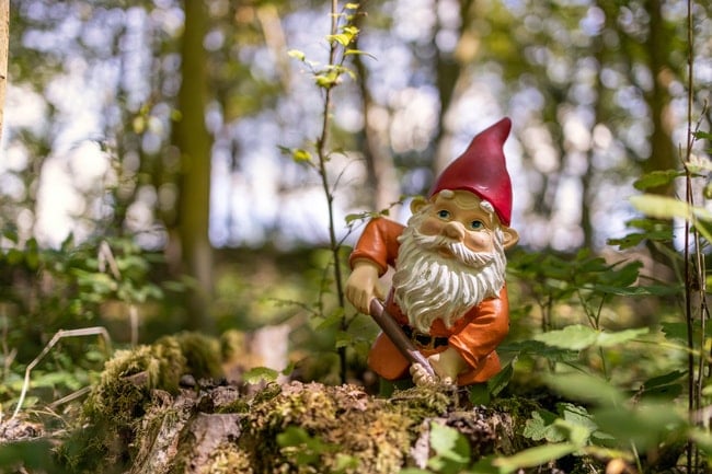 Garden gnomes were popularized in the 1800s.