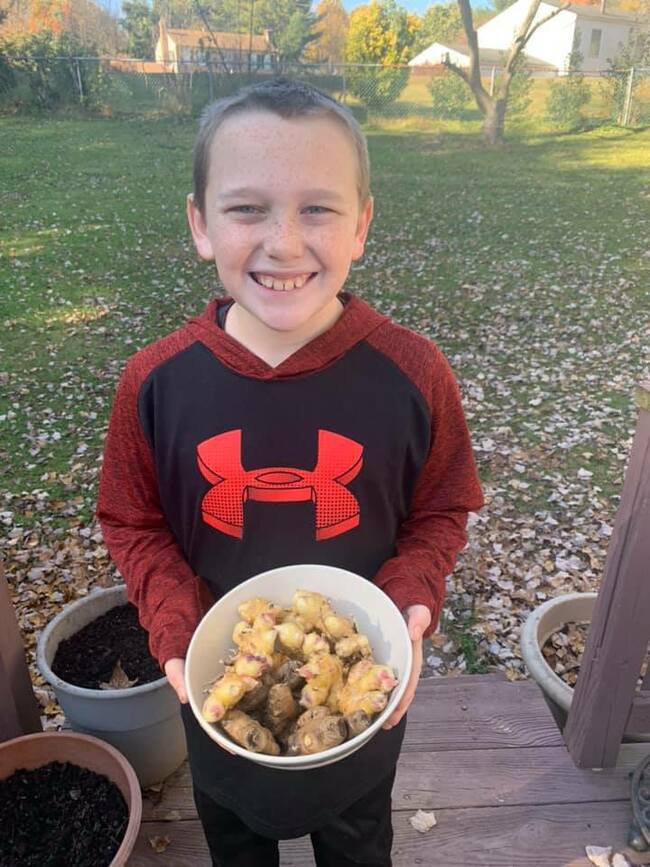 Cameron Lives and his family grow and harvest ginger each year to use in holiday and daily baking.