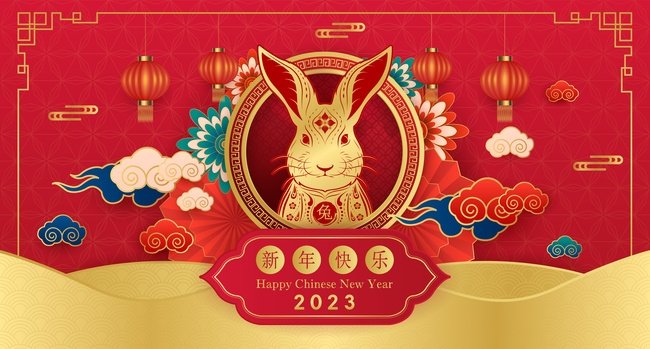 chinese new year rabbit