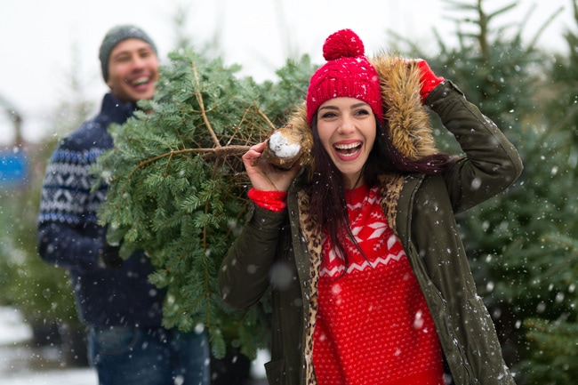 Get a fresh cut on your Christmas tree before you leave the tree lot! 