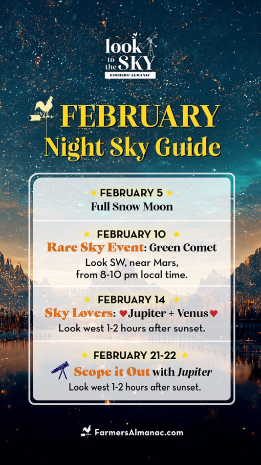 February night sky with comet.