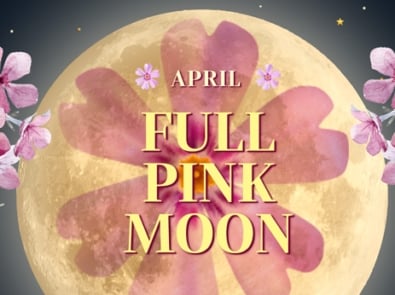 Full Moon April 2024 – Pink Moon And Alternative Names featured image