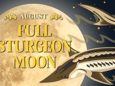 August’s Full Sturgeon Moon featured image