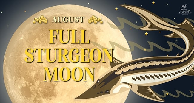 Full Moon August 2024 - Sturgeon Moon.