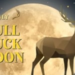 Full Moon July 2023 - Buck Moon.