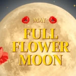 Full Moon May is called the Flower Moon.