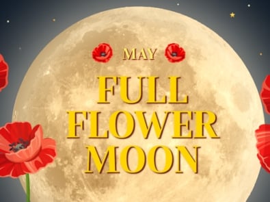 Full Moon May 2023 – Flower Moon And Alternative Names featured image
