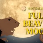 Full Moon November 2023 Beaver Moon.