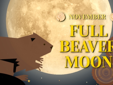 November’s Full Beaver Moon featured image