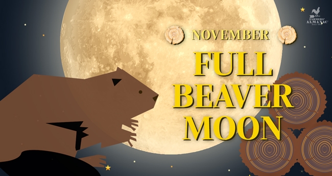 Full Moon November 2023 Beaver Moon.