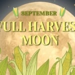 Full Moon September 2024 Harvest Moon.