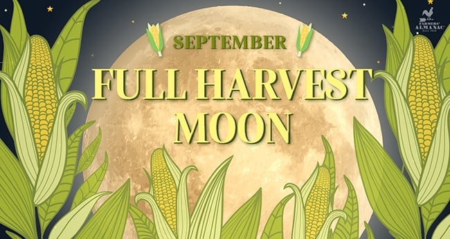 Full Moon September 2024 Harvest Moon.