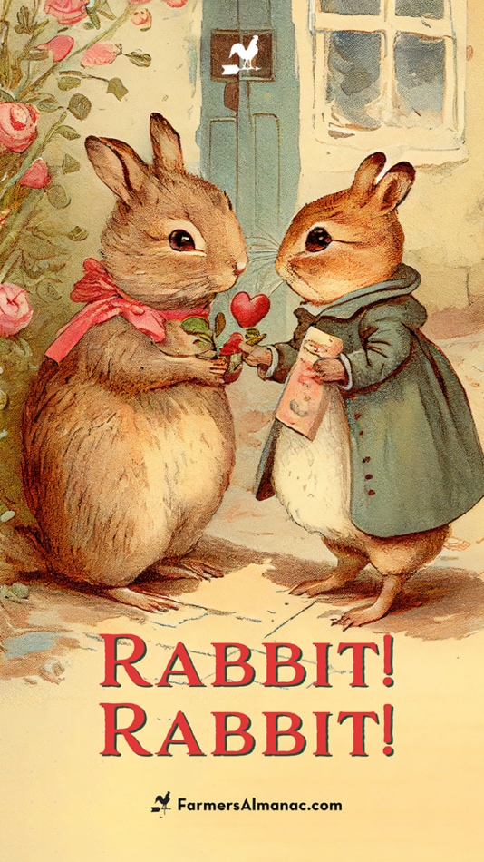 Rabbit, Rabbit reminder for February. 