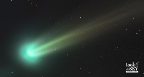 Green comet in the February night sky, 2023.