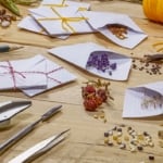 Seed swap with heirloom seeds.