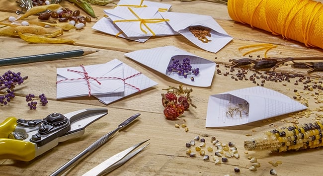 Seed swap with heirloom seeds.