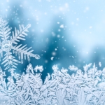 snow and snowflake facts.