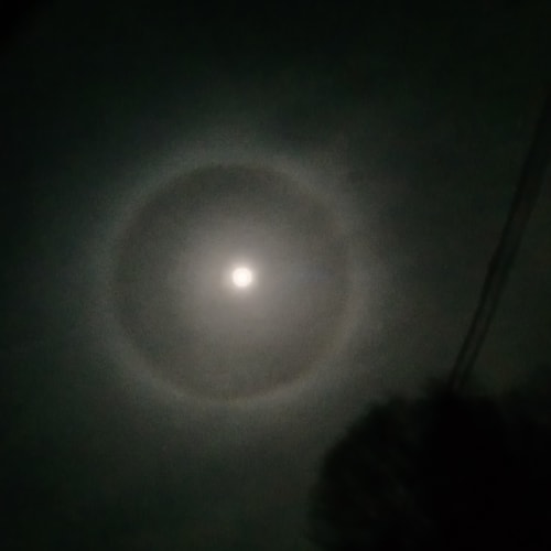 20230205_013457.jpg