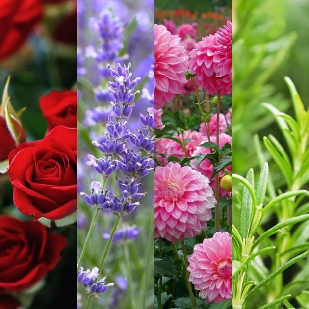 Companion planting with flowers.